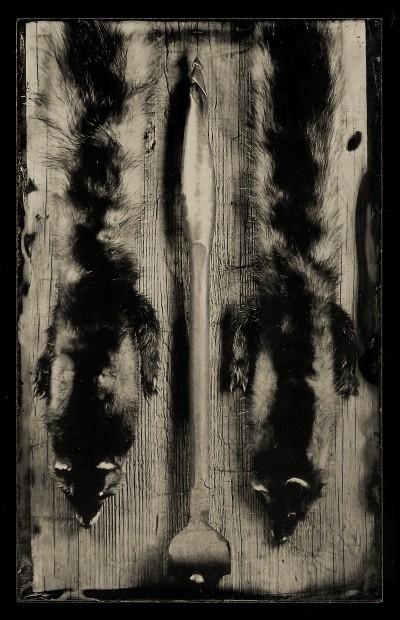 Ambrotype 12